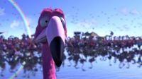 Frank-Bohn-Costuemdesign-Flamingo-Pride.Capture